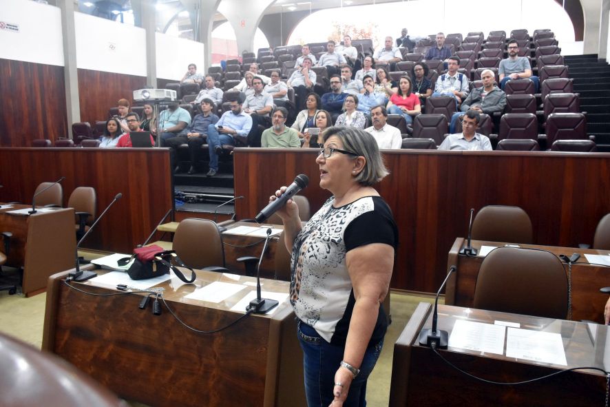 Apresentação da Anita